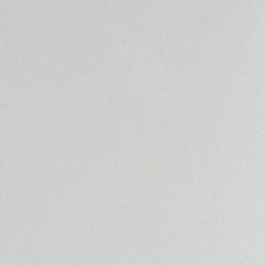 Silver Cabinet Color