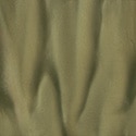 Palm