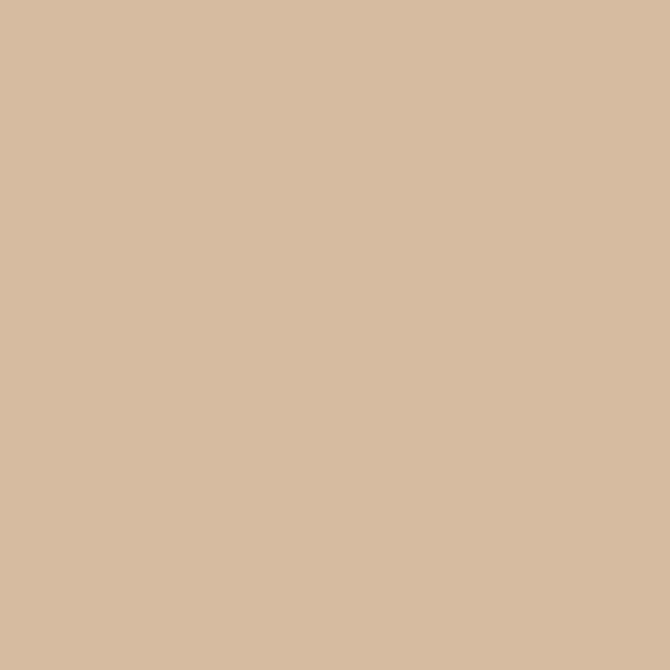 Beige Solid Color