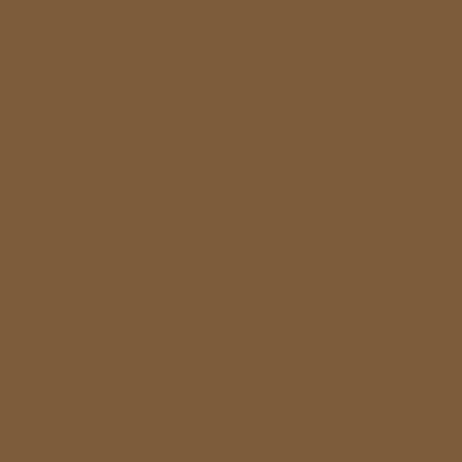 Mocha Solid Color